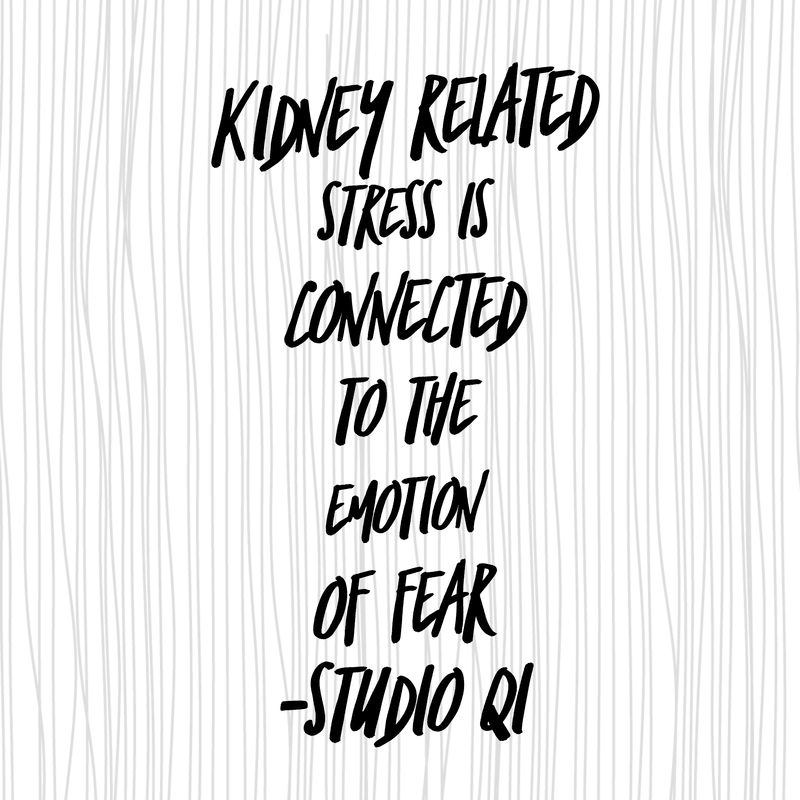 Stress: fear & the kidneys Stress: fear & the kidneys